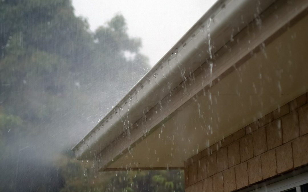 Why You Need Professional Help to Maintain the Gutters on Your Houston Property