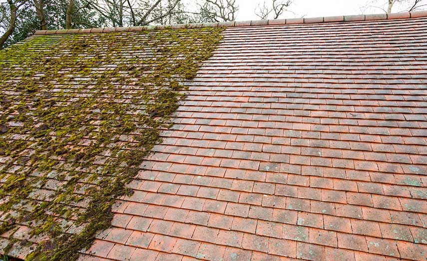 Professional Roof Cleaning Will Extend the Life of Your Roof