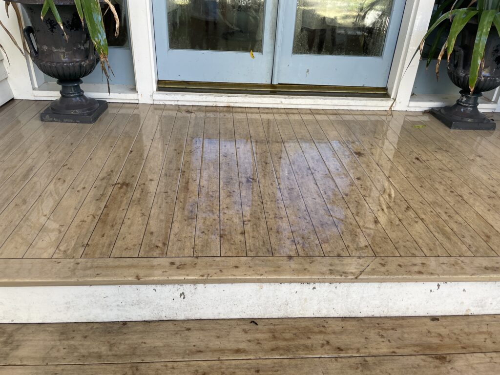 Wet wooden deck with visible dirt and water stains in front of blue double doors flanked by black planters with green plants