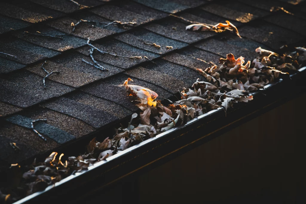 A gutter filled with leaf debris showing the importance of roof and gutter cleaning.