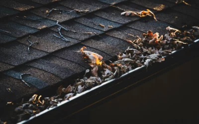 What You Need to Know about Roof and Gutter Cleaning