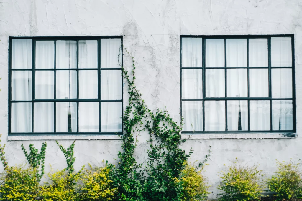 Clean windows on a white wall.