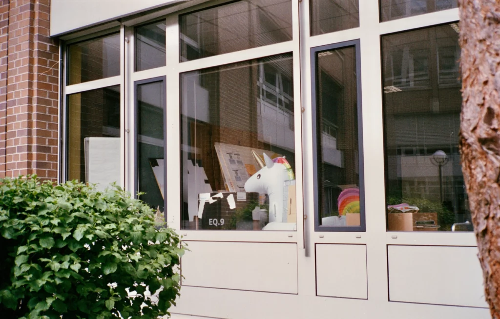 Window Screen Frames around large windows looking into a school.