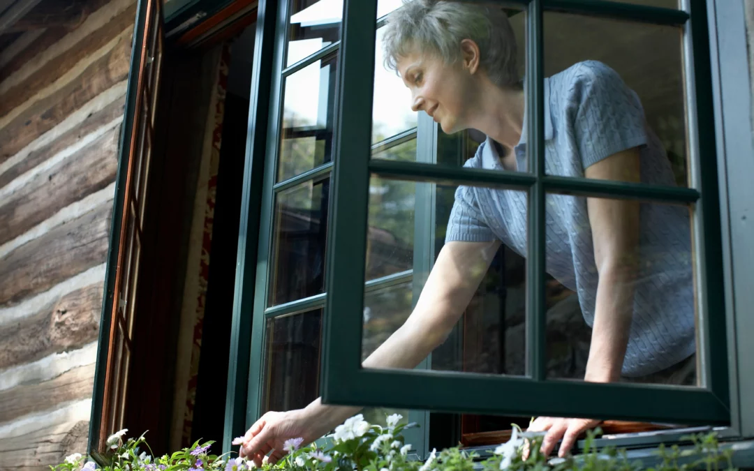 Window Boxes; the Secret to Vibrant Displays!