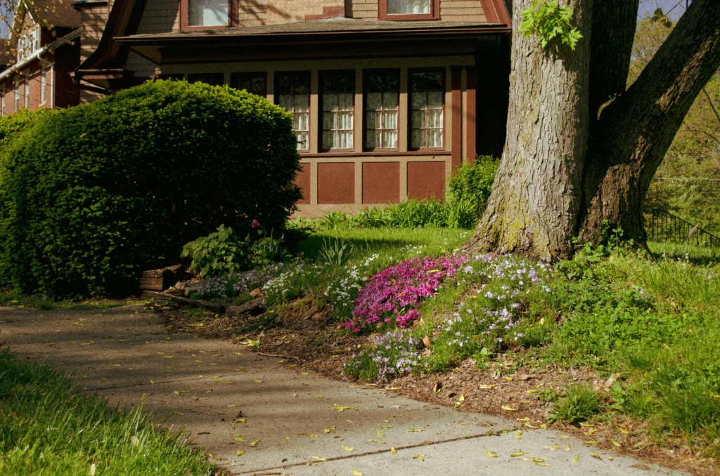 A wood, single floor house half hidden behind a bush. Pink flowers are on the ground by a clear stone path, showing the benefits of seasonal home care.