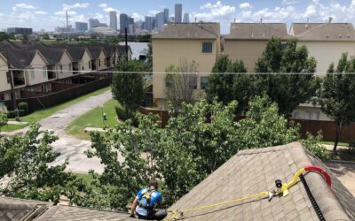 Will Bleach Damage a Shingle Roof? What You Need to Know