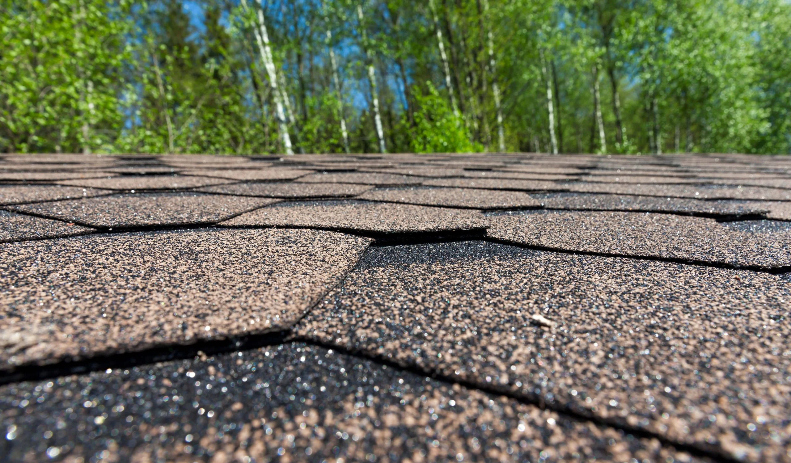 austin roof shingles