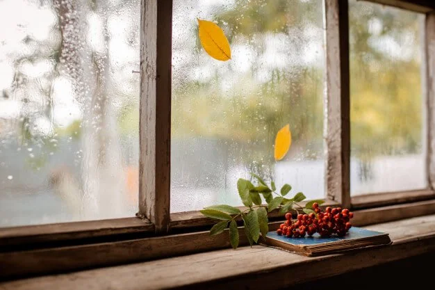 austin window cleaning