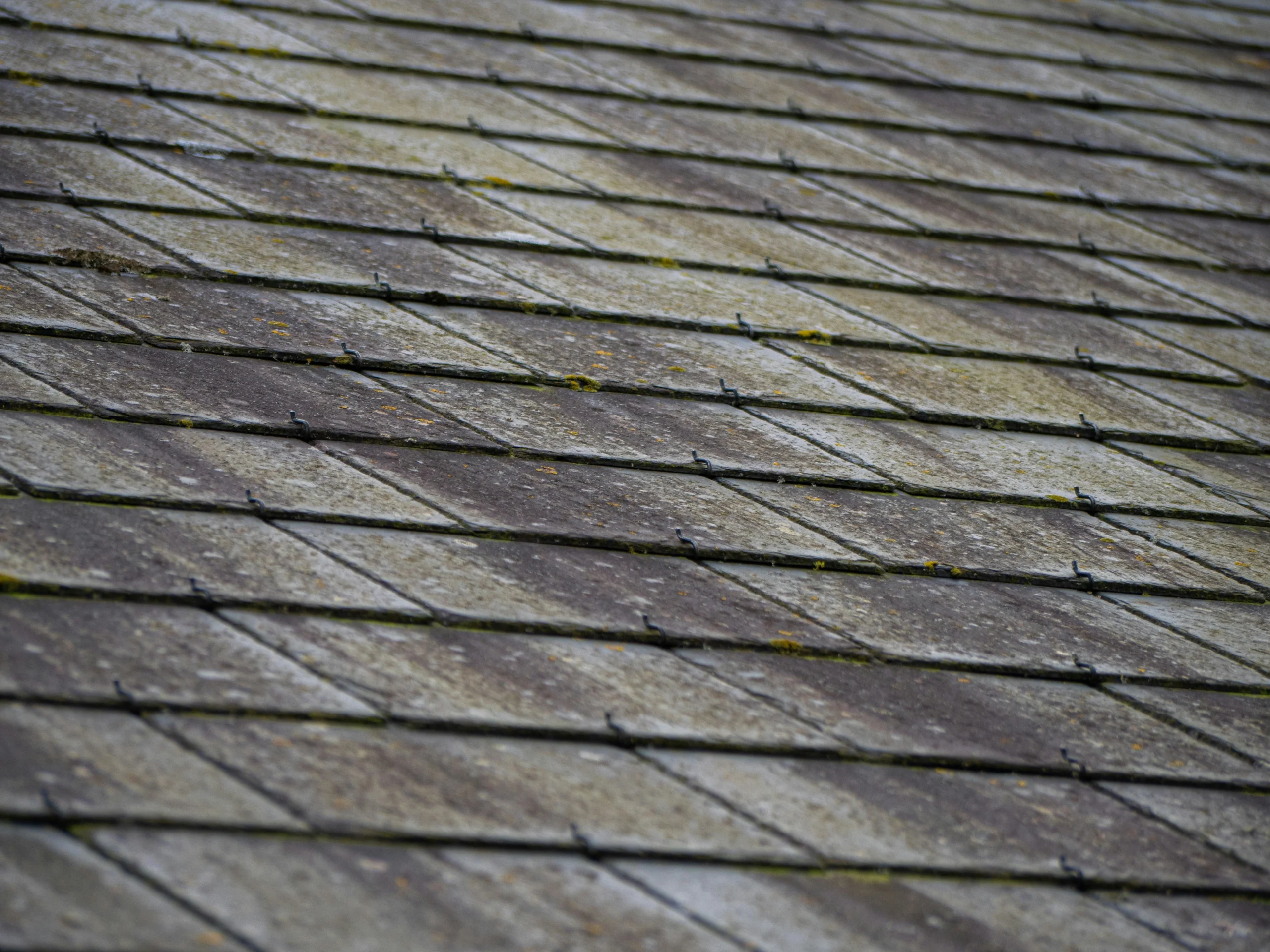 Roof tiles that are darkened due to dirt build up.