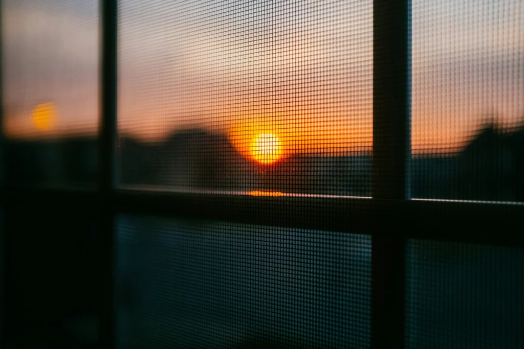 A window screen in front of a sunset.