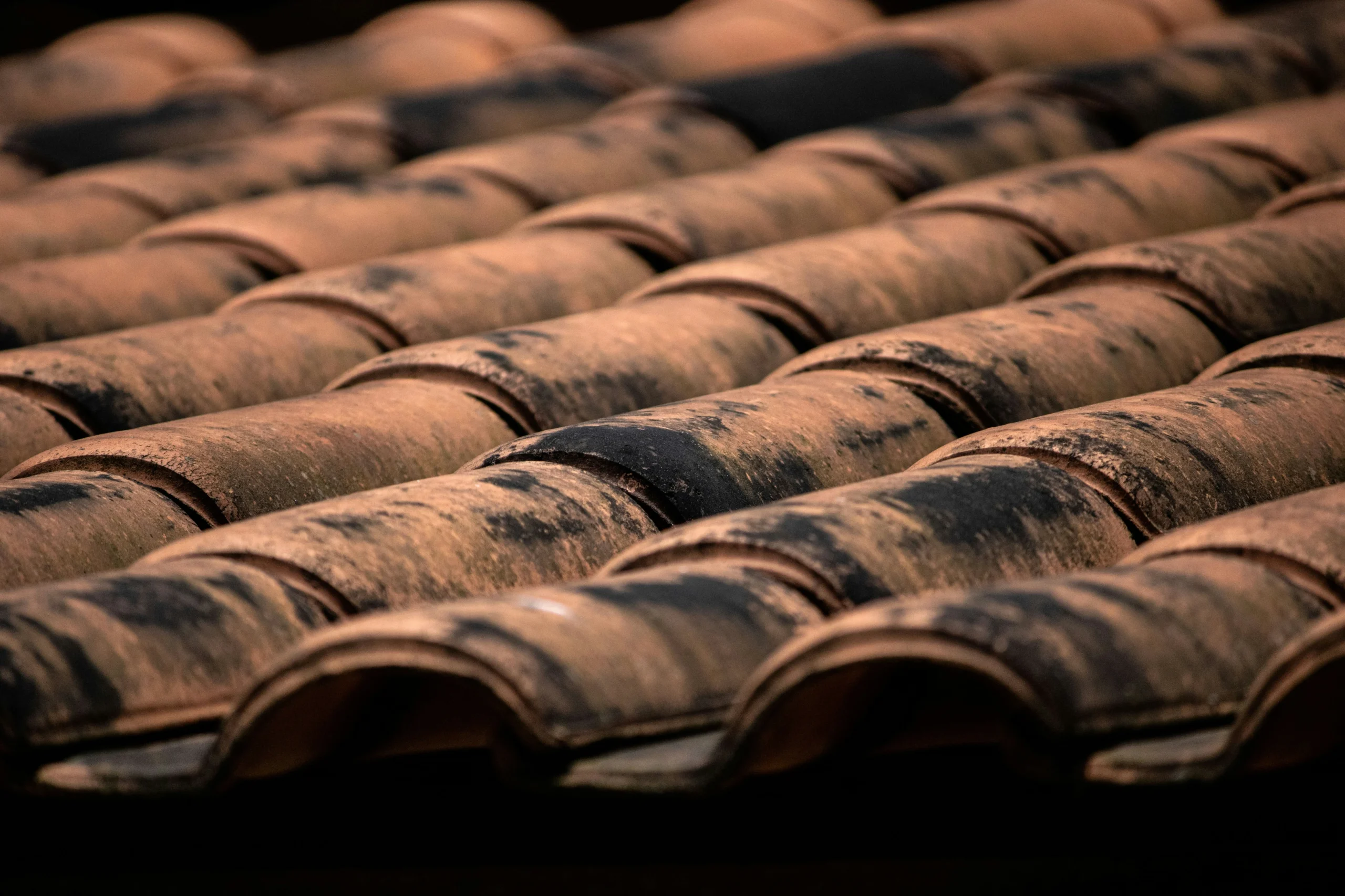 A close up of orange roof tiles that are blackened with dirt.