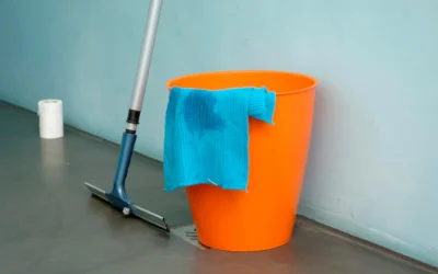 Window Cleaning Tools 101: From Professional Equipment to DIY