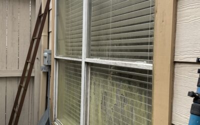 How to Clean Mold from Windows and Protect Your Home