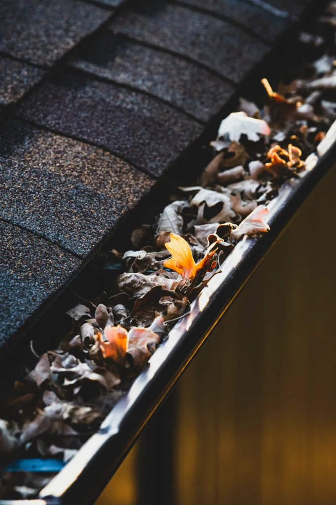 leaves clogged in gutter on edge of roof scaled