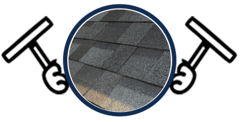 Shingle Roof
